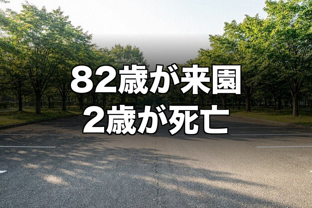 愛知・豊川2歳男児死亡事故、82歳ドライバー逮捕の背景