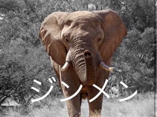 ジンメン あらすじ 無料試し読み情報