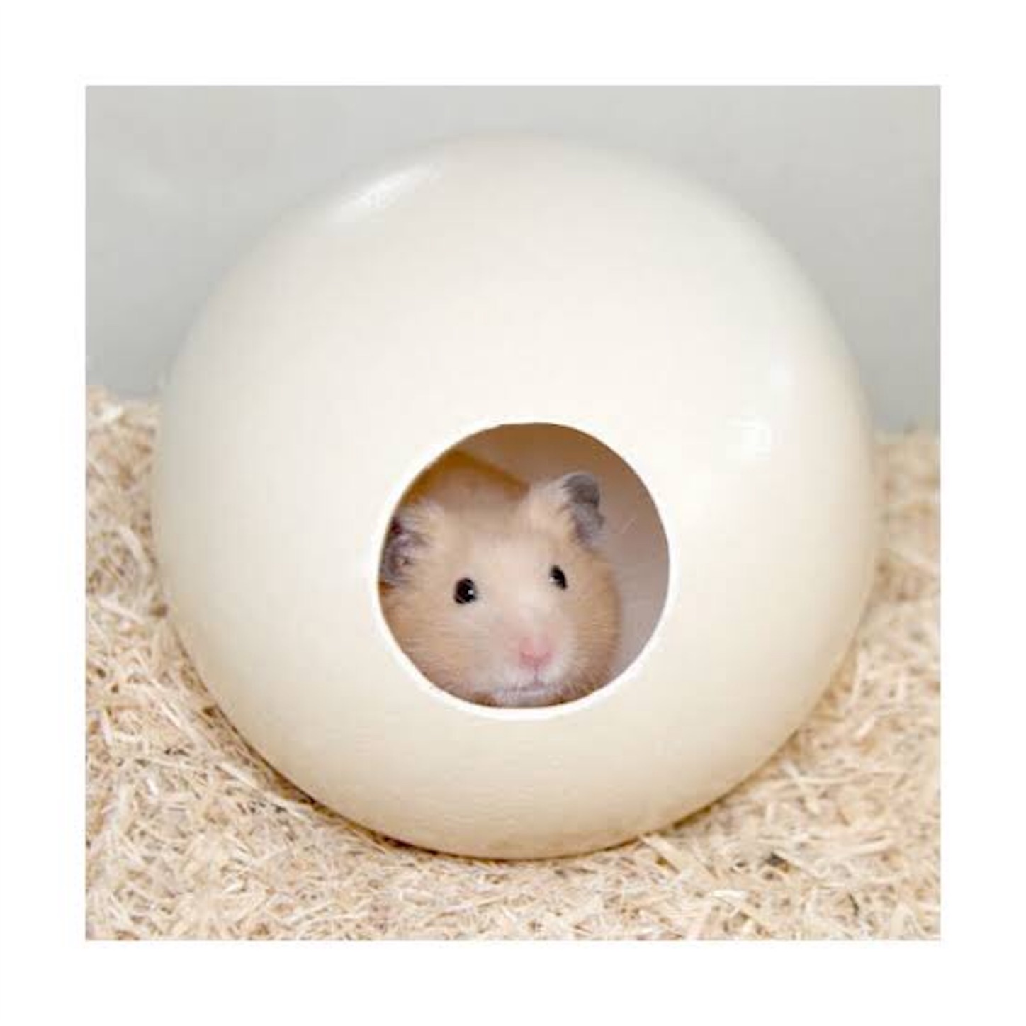 狂ったおにぎり