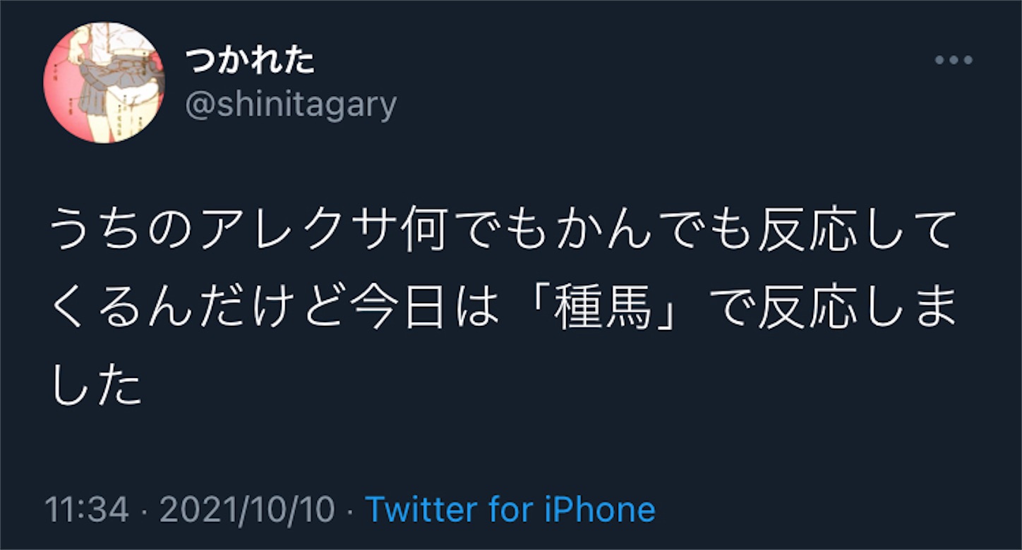 f:id:oktr_nks:20220915230704j:image f:id:oktr_nks:20220915230704j:image