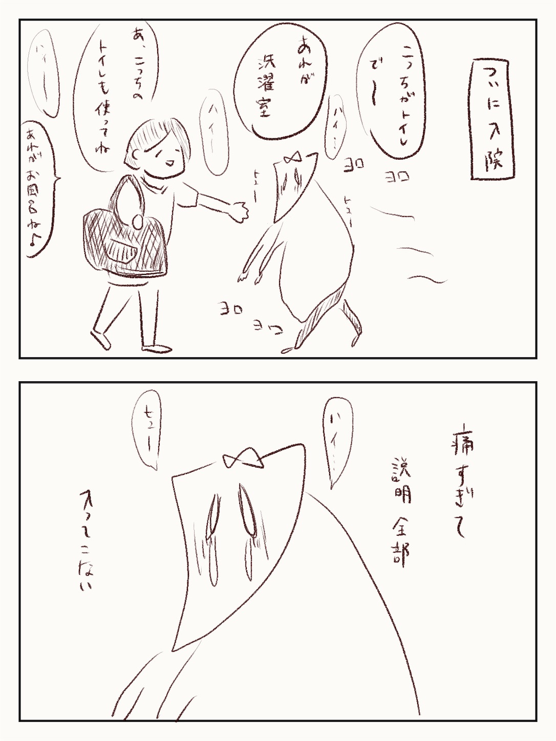 f:id:oktr_nks:20230308005636j:image f:id:oktr_nks:20230308005636j:image