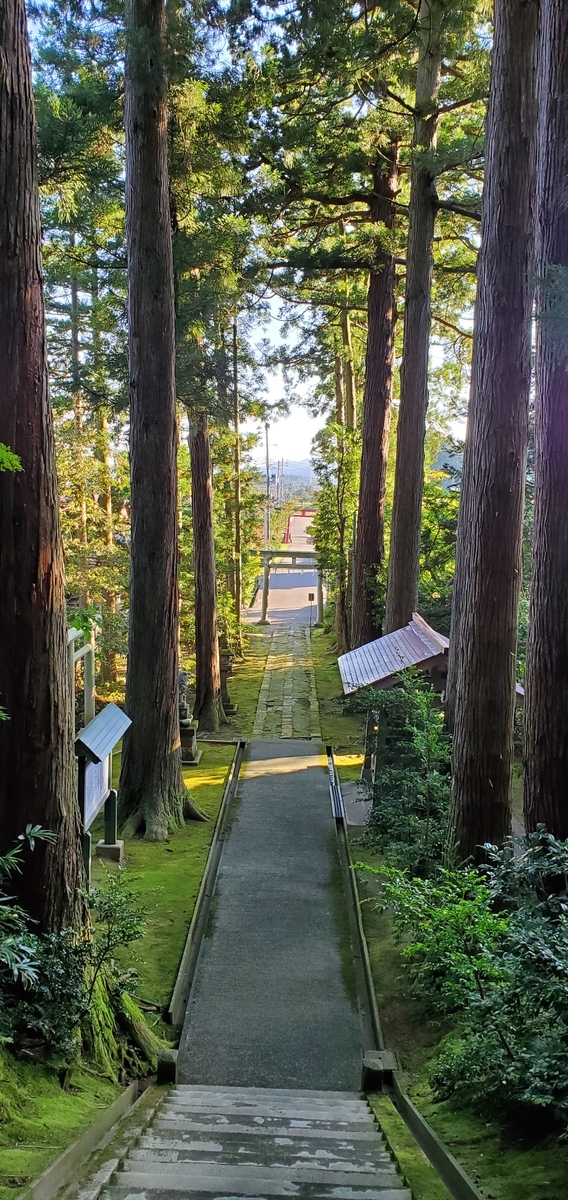 f:id:oku123456:20191012173905j:plain