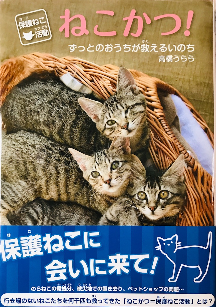 ねこ＊プロフィール必読＊ ねこ(プロフィール必読)様 リクエスト 10点 まとめ商品