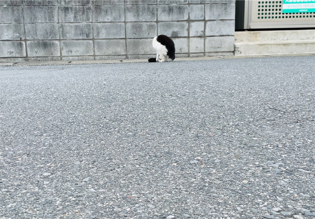 f:id:oku352c:20260524154859j:image