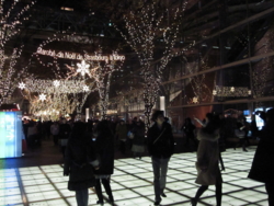 f:id:oku_anijin0406:20110104194422j:image:right