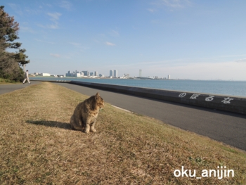 f:id:oku_anijin0406:20160127135031j:image