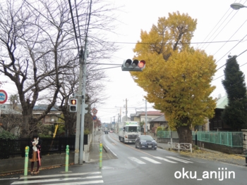 f:id:oku_anijin0406:20160127135348j:image