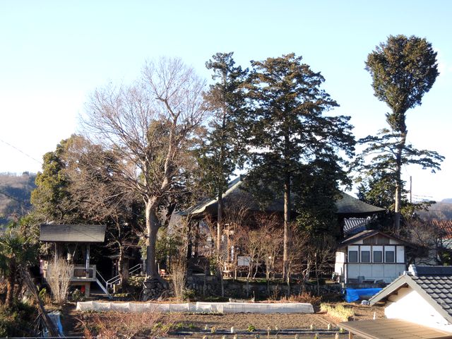 f:id:oku_anijin0406:20190107205735j:plain