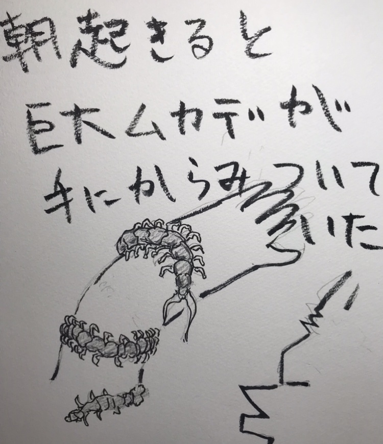 f:id:okuaizumishimamachi:20200129131651j:plain f:id:okuaizumishimamachi:20200129131651j:plain
