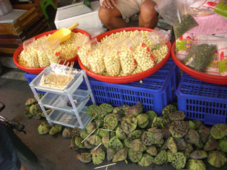 f:id:okuharaakari:20110714215421j:image f:id:okuharaakari:20110714215421j:image