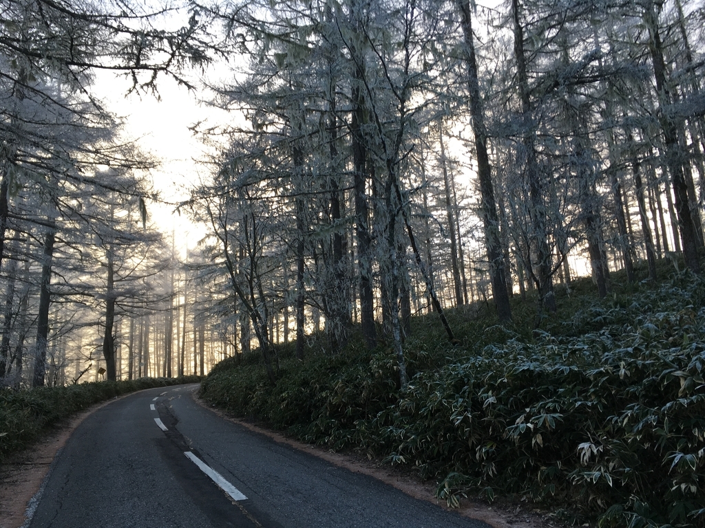 f:id:okumap:20181115070739j:plain