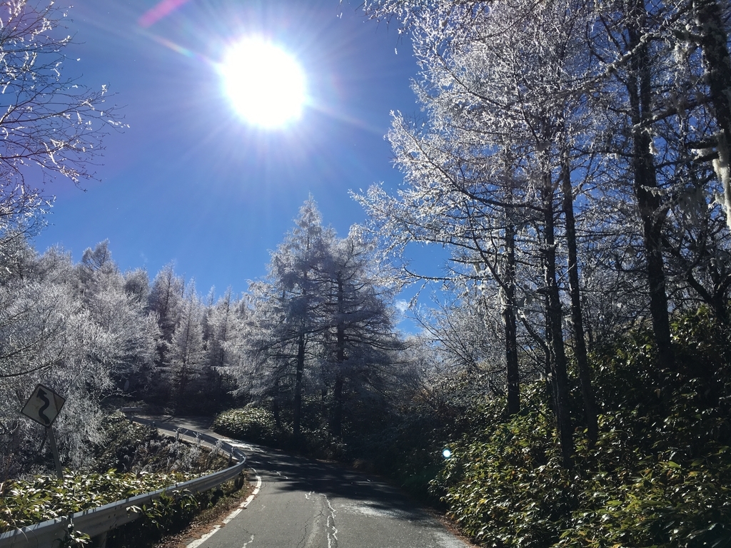 f:id:okumap:20181115105829j:plain