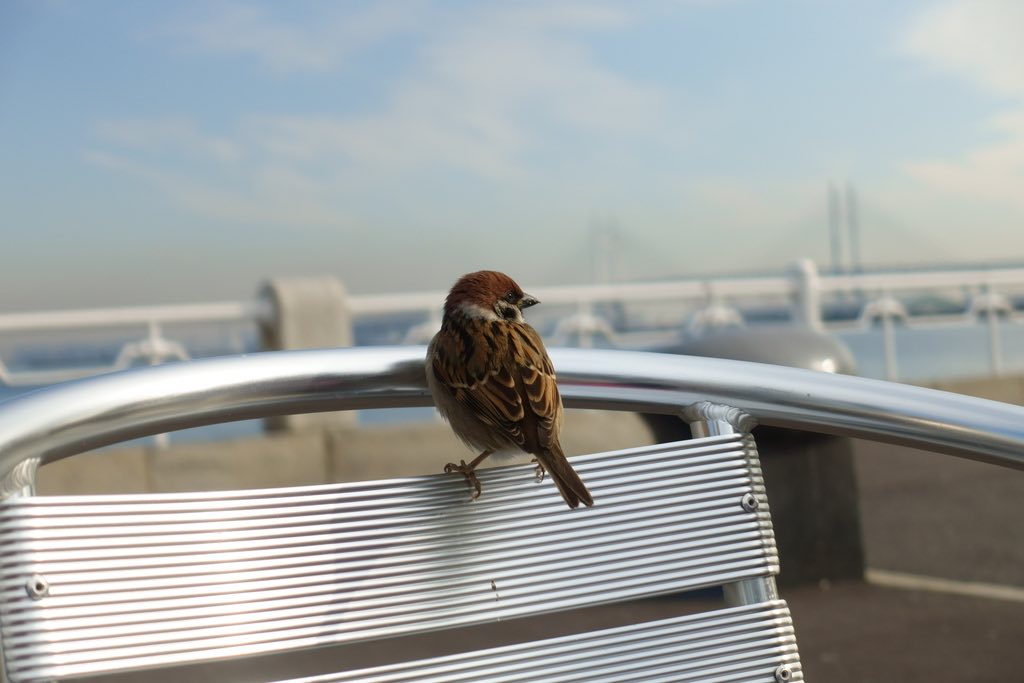 f:id:okumap:20190120100825j:plain