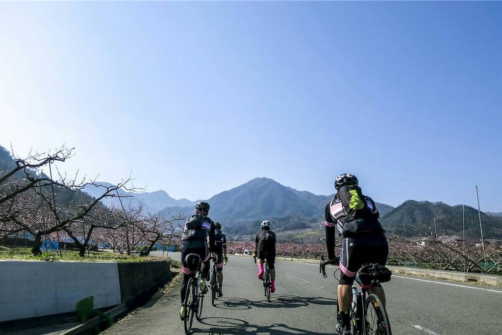 f:id:okumap:20190408215907j:image