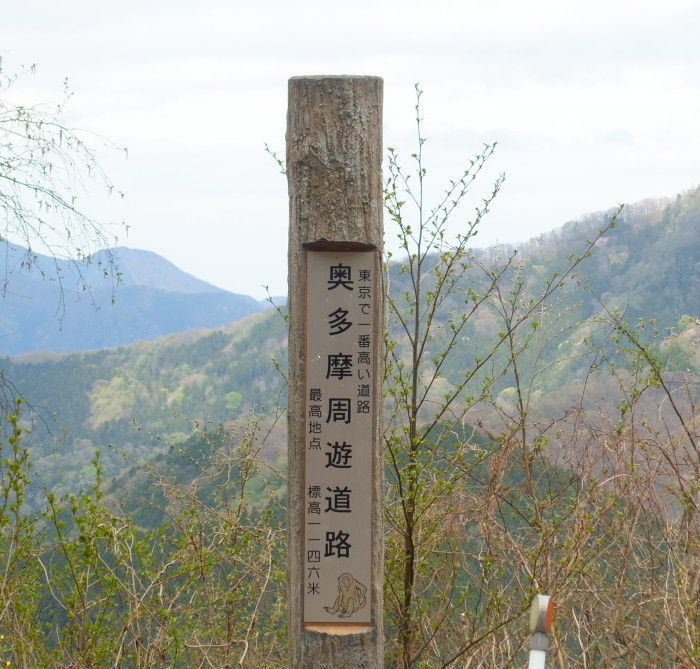 f:id:okumap:20190429130517j:plain