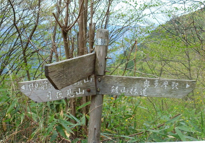 f:id:okumap:20190429155953j:plain