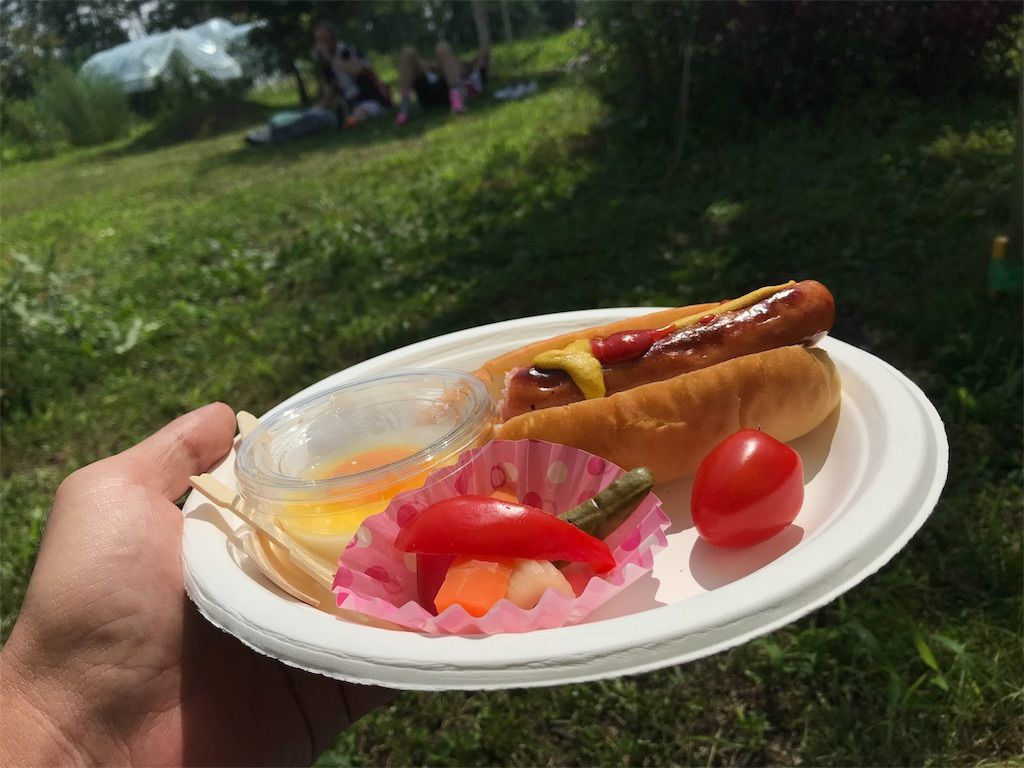 f:id:okumap:20190805094353j:image f:id:okumap:20190805094353j:image