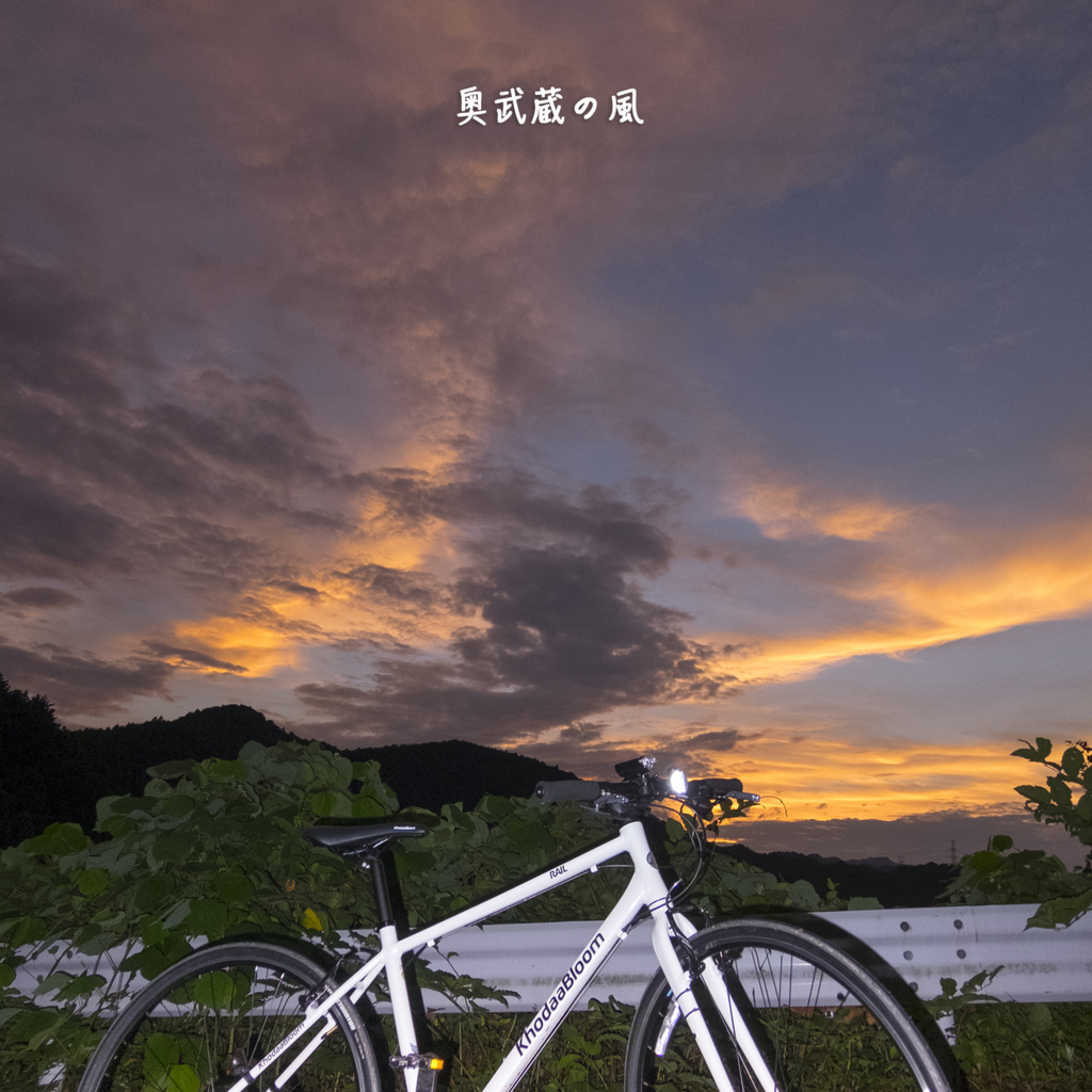 f:id:okumusashinet:20150720130030j:plain