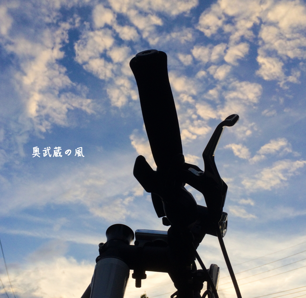 f:id:okumusashinet:20150725095101j:plain f:id:okumusashinet:20150725095101j:plain