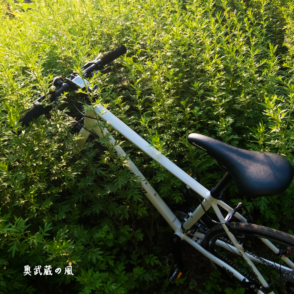 f:id:okumusashinet:20150727163825j:plain f:id:okumusashinet:20150727163825j:plain