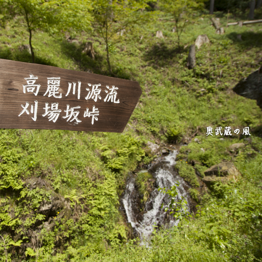 f:id:okumusashinet:20150730154622j:plain