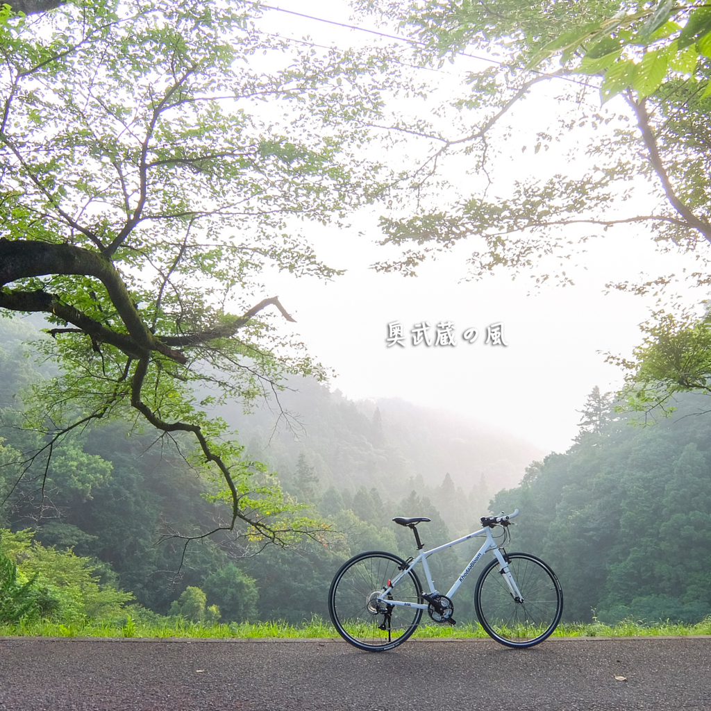 f:id:okumusashinet:20150731081408j:plain f:id:okumusashinet:20150731081408j:plain