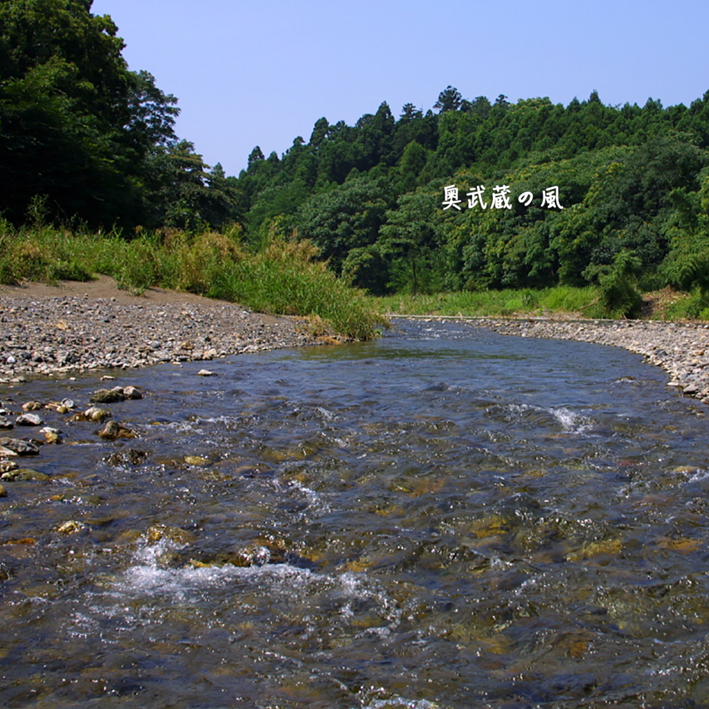 f:id:okumusashinet:20150803135327j:plain f:id:okumusashinet:20150803135327j:plain