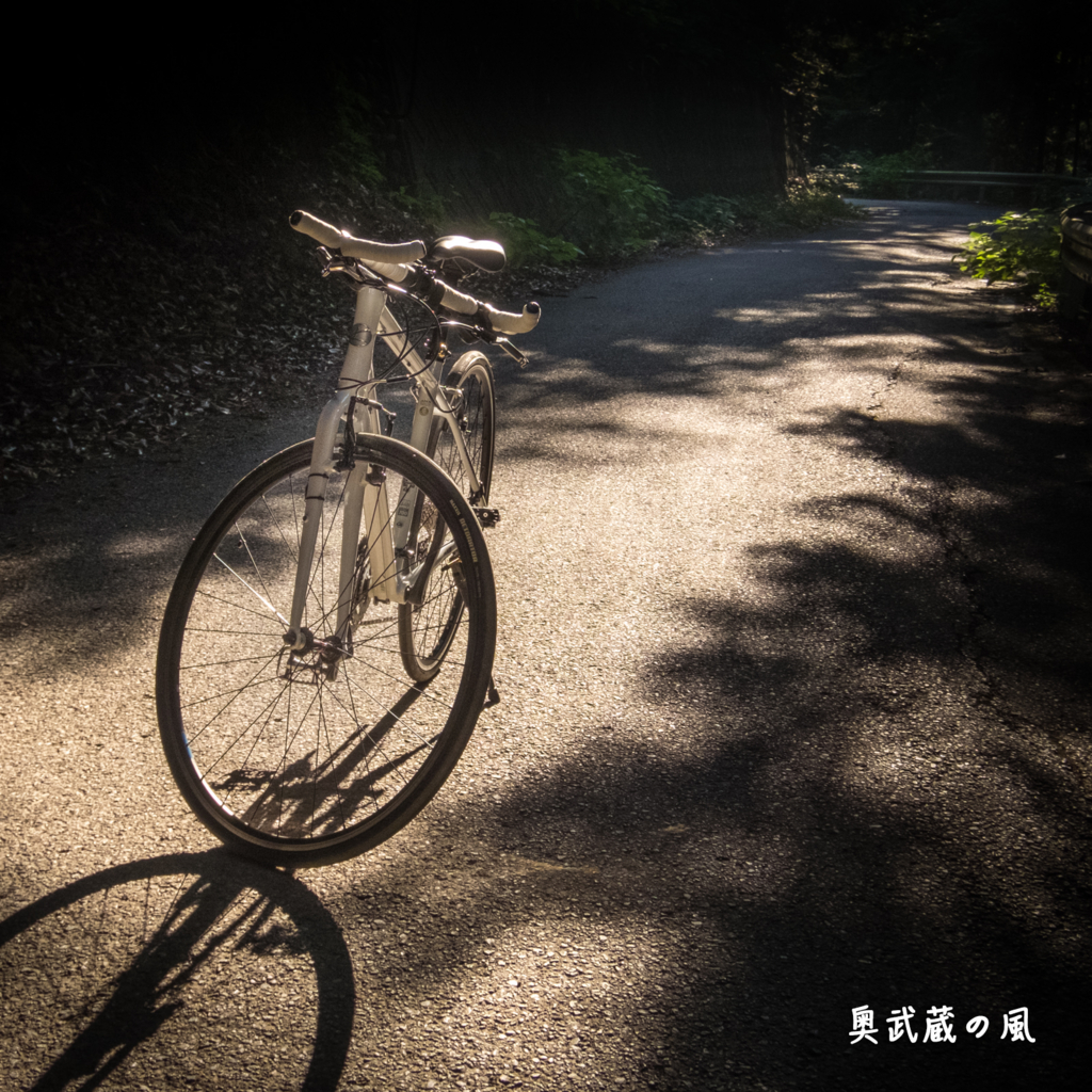 f:id:okumusashinet:20150806162337j:plain