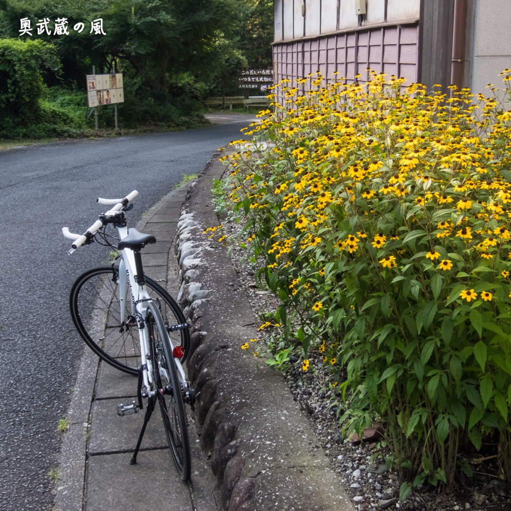 f:id:okumusashinet:20150806162708j:plain