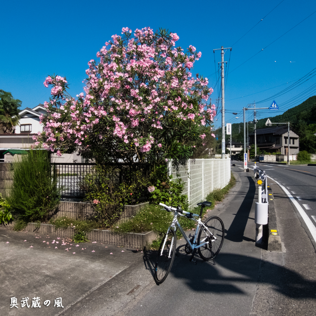 f:id:okumusashinet:20150806163238j:plain
