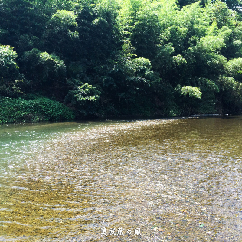 f:id:okumusashinet:20150810064820j:plain