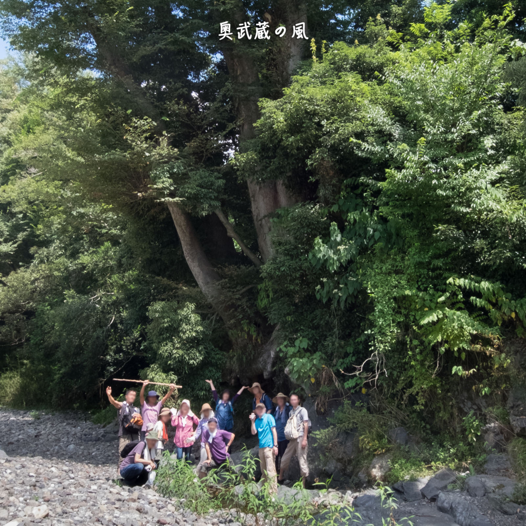 f:id:okumusashinet:20150812213703j:plain