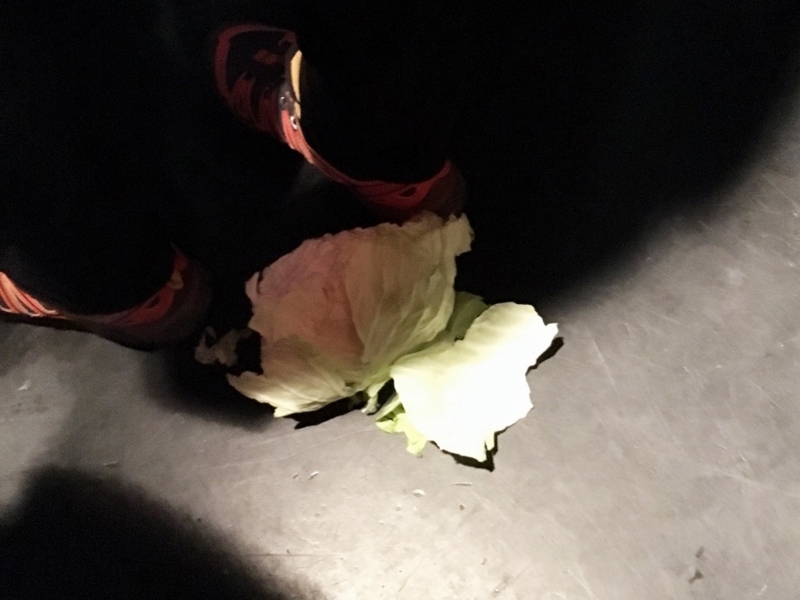 f:id:okureje:20171126224518j:plain