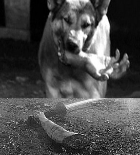 f:id:okureje:20180630083002j:plain