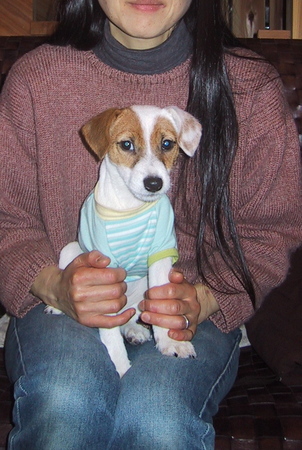 f:id:okuu:20061219213222j:image:w200