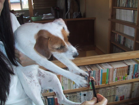 f:id:okuu:20070928144945j:image:w250