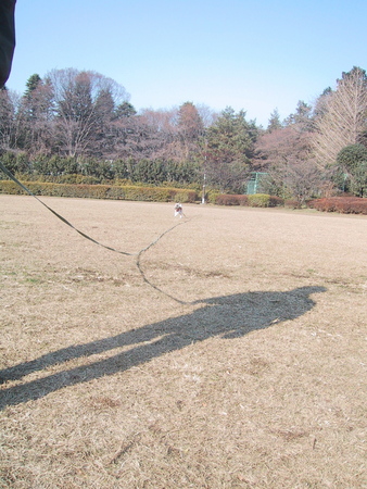 f:id:okuu:20071227124102j:image:w250