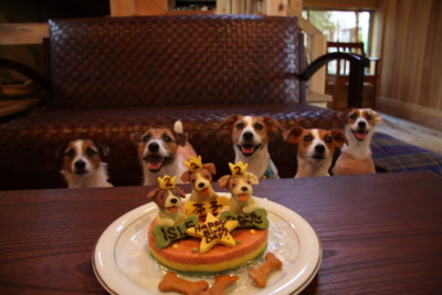 f:id:okuu:20080914150705j:image:w200