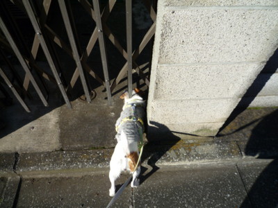 f:id:okuu:20081130085819j:image