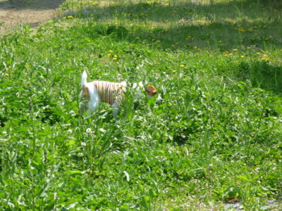 f:id:okuu:20090505131239j:image f:id:okuu:20090505131239j:image