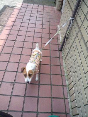 f:id:okuu:20090707174544j:image f:id:okuu:20090707174544j:image