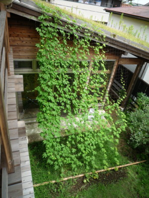 f:id:okuu:20090801180839j:image f:id:okuu:20090801180839j:image