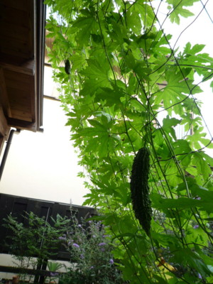 f:id:okuu:20090819170919j:image