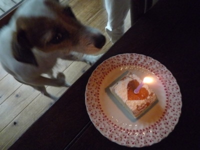 f:id:okuu:20100915180240j:image