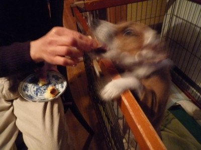 f:id:okuu:20101116182602j:image f:id:okuu:20101116182602j:image