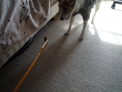 f:id:okuu:20110226130025j:image f:id:okuu:20110226130025j:image