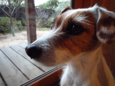 f:id:okuu:20110306183338j:image f:id:okuu:20110306183338j:image