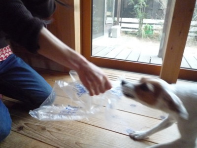 f:id:okuu:20110310182650j:image f:id:okuu:20110310182650j:image