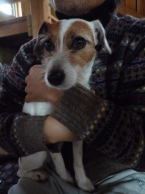 f:id:okuu:20110312190118j:image f:id:okuu:20110312190118j:image