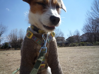 f:id:okuu:20110317172233j:image f:id:okuu:20110317172233j:image